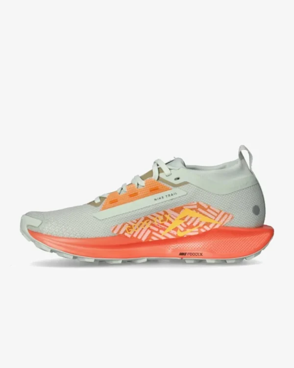 Nike Pegasus Trail 5 Gore-Tex