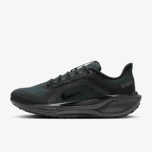 Nike Pegasus 41 GORE-TEX