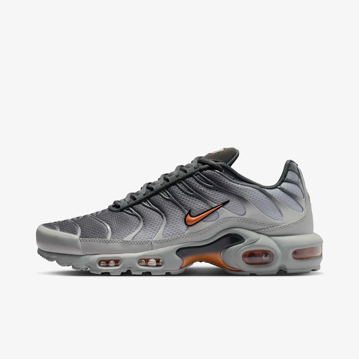 Nike Air Max Plus Men’s Shoes