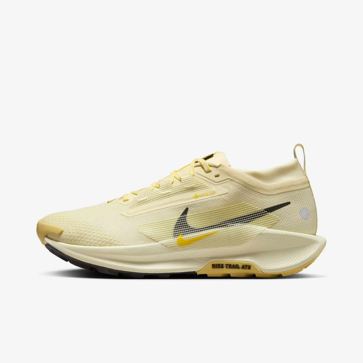 Nike Pegasus Trail 5 Gore-Tex